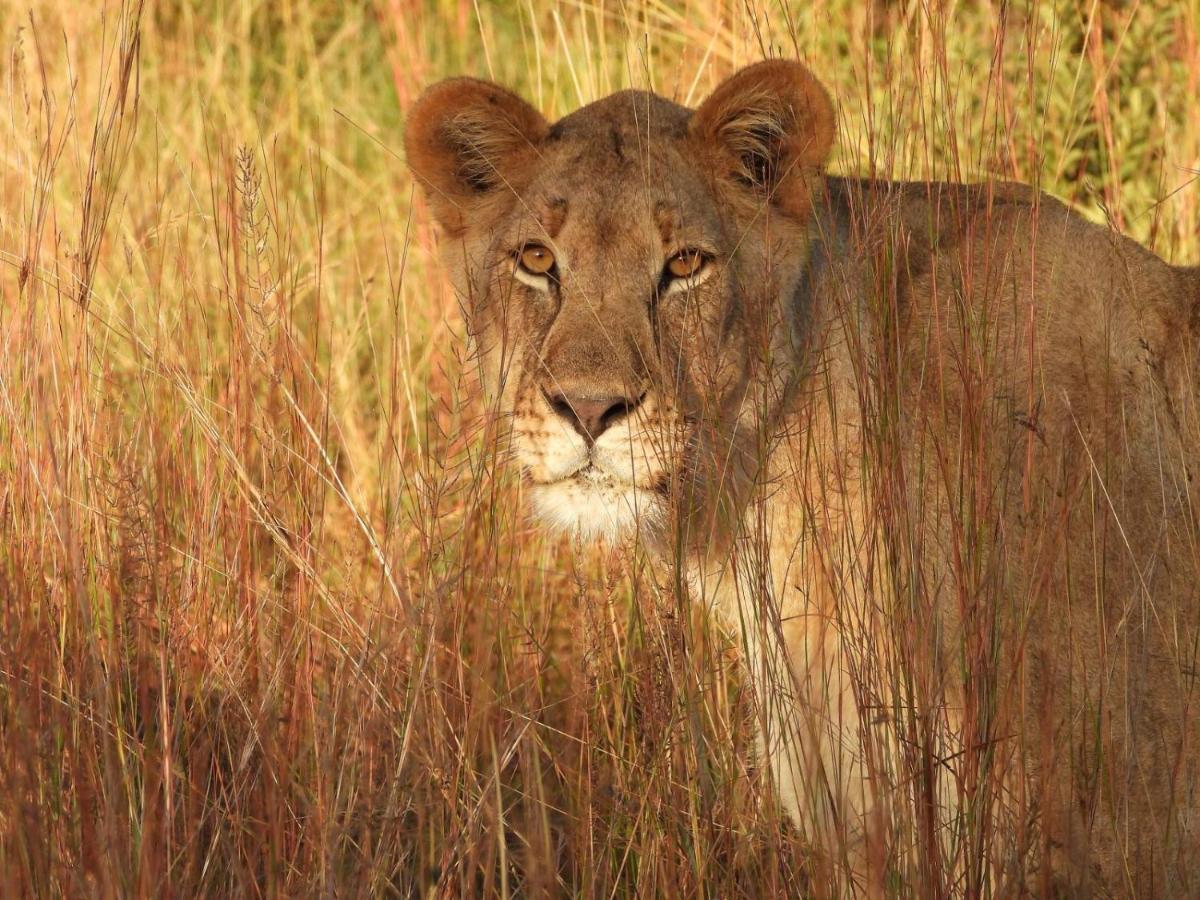 Kwalata Game Lodge *